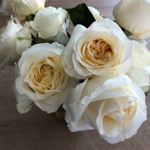 Meet your Posher, Rachelle